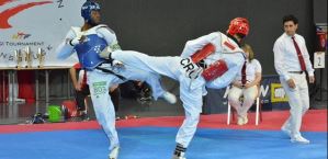 Hrvatska se sa Svjetskog taekwondo prvenstva vraća s četiri medalje